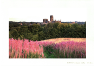 John Erwin Card - Cathedral in Summer, Durham