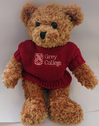 Grey College Bear