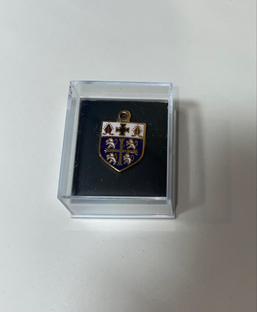 University College Lapel Badge 