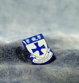 John Snow College Pin Badge