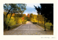 John Erwin Card Autumn Prebend Bridge