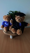 Graduation Toffee Bear